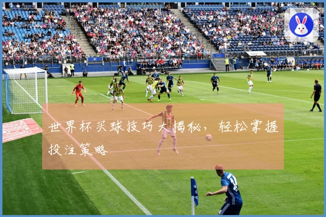 世界杯买球技巧大揭秘，轻松掌握投注策略