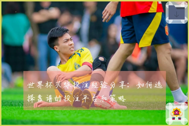 世界杯买球投注经验分享：如何选择靠谱的投注平台和策略