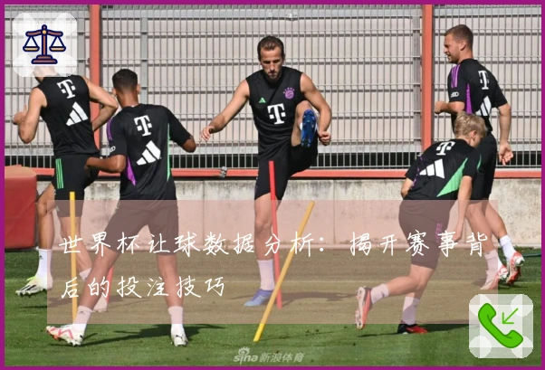 世界杯让球数据分析：揭开赛事背后的投注技巧
