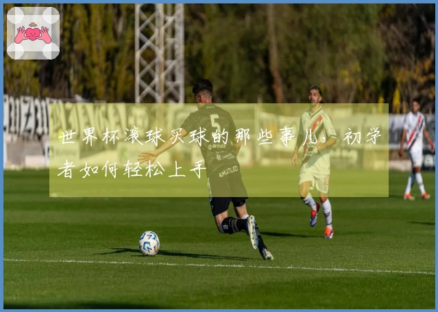 世界杯滚球买球的那些事儿，初学者如何轻松上手