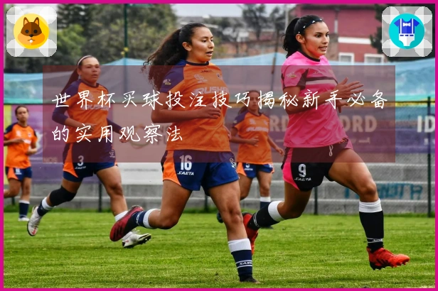 世界杯买球投注技巧揭秘新手必备的实用观察法