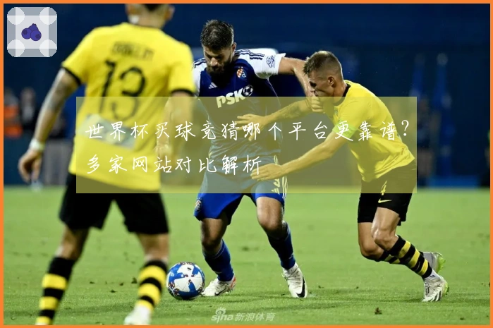 世界杯买球竞猜哪个平台更靠谱？多家网站对比解析