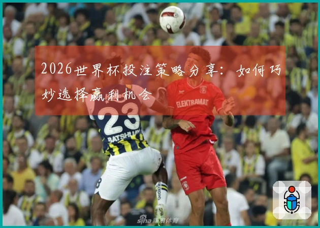 2026世界杯投注策略分享：如何巧妙选择赢利机会