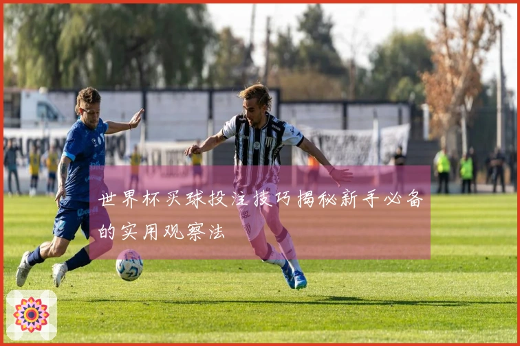 世界杯买球投注技巧揭秘新手必备的实用观察法