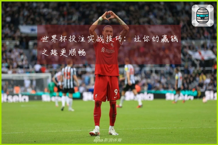 世界杯投注实战技巧：让你的赢钱之路更顺畅