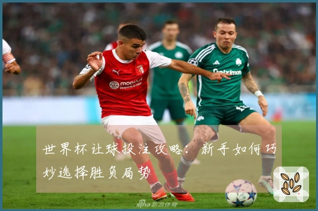 世界杯让球投注攻略：新手如何巧妙选择胜负局势