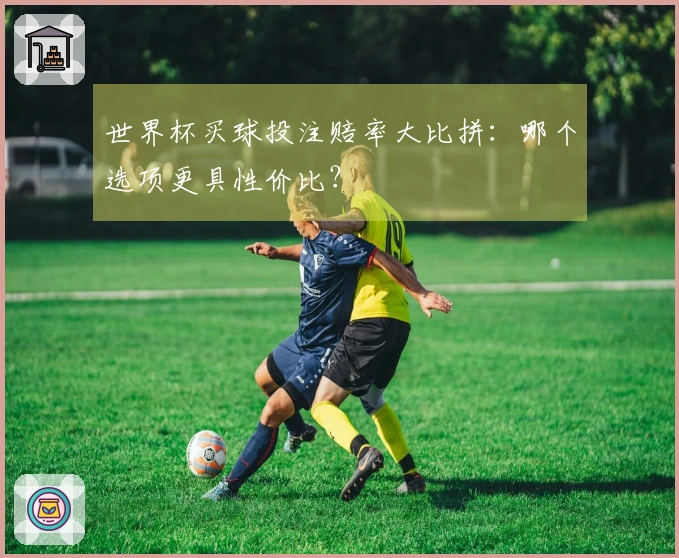 世界杯买球投注赔率大比拼：哪个选项更具性价比？