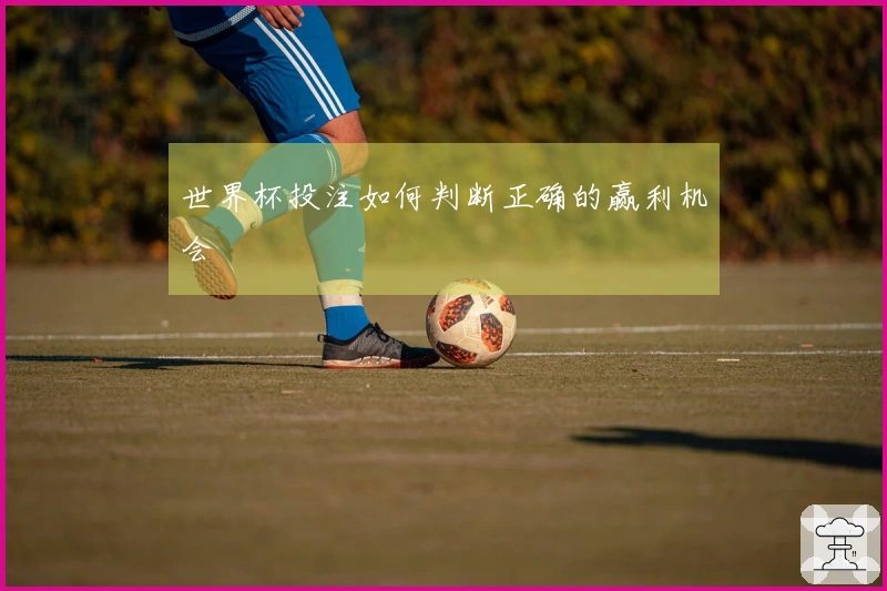 世界杯投注如何判断正确的赢利机会