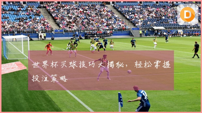 世界杯买球技巧大揭秘，轻松掌握投注策略